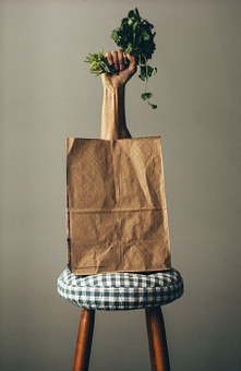 Grocery bag.jpg